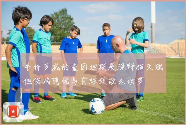平价罗威的奎因坦斯展现野猫天赋但伤病隐忧与罚球致敬米切罗